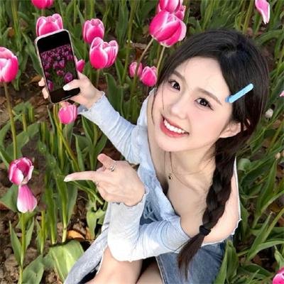 圣诞家族