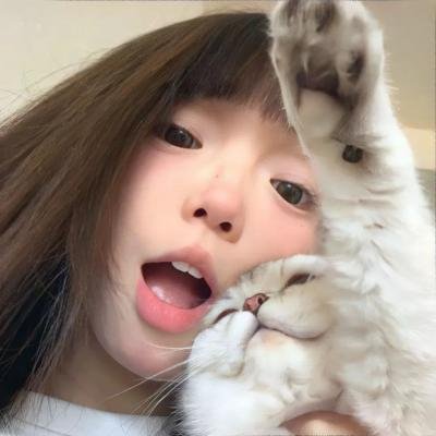 永不退缩：决不放弃